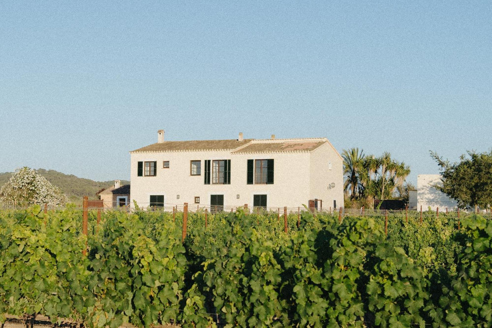 Vino Resort Son Amaret Son Macià Exterior foto
